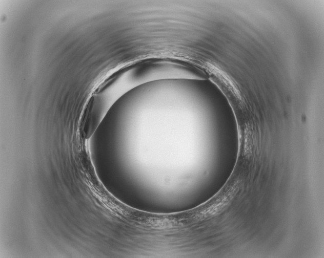 X0000087050876200704251001