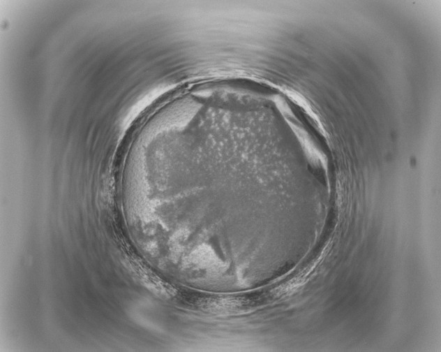 X0000087050879200704251001