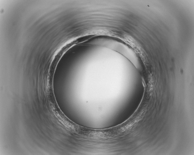 X0000087050880200704251001