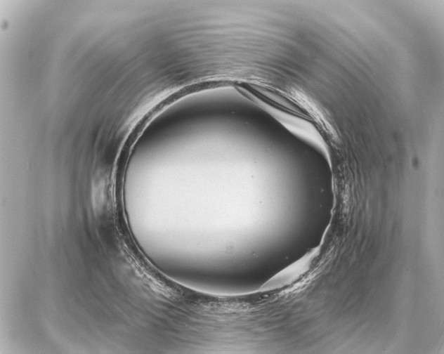 X0000087050884200704251001