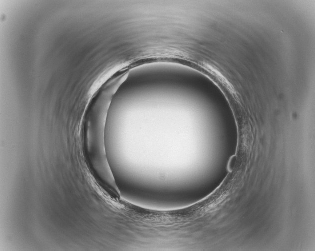 X0000087050885200704251001