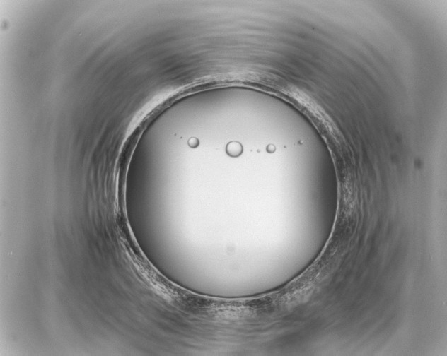 X0000087050886200704251001