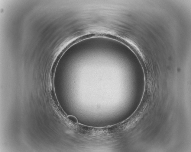 X0000087050887200704251001