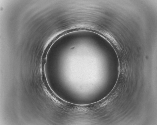 X0000087050888200704251001