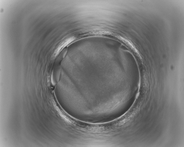 X0000087050889200704251001