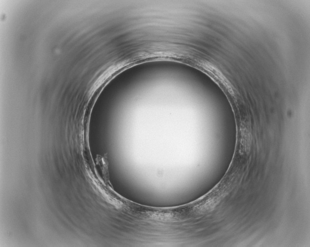 X0000087050890200704251001