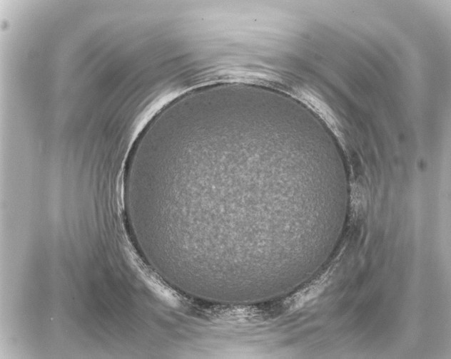 X0000087050891200704251001