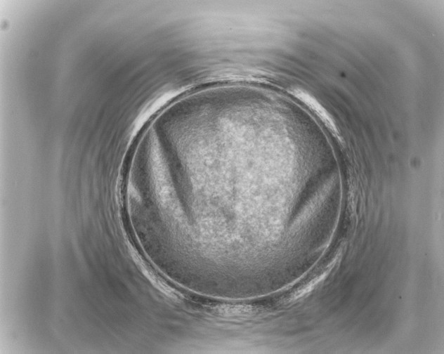 X0000087050893200704251001