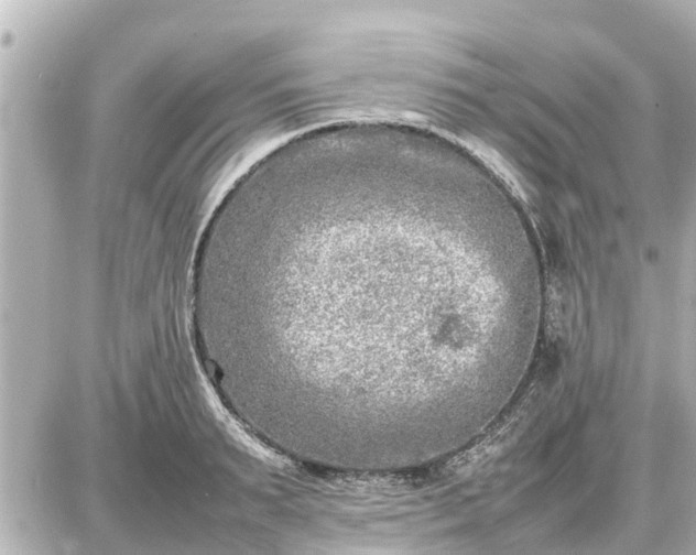 X0000087050895200704251001