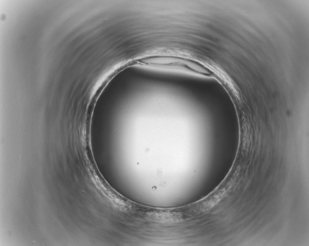 X0000087050896200704251001