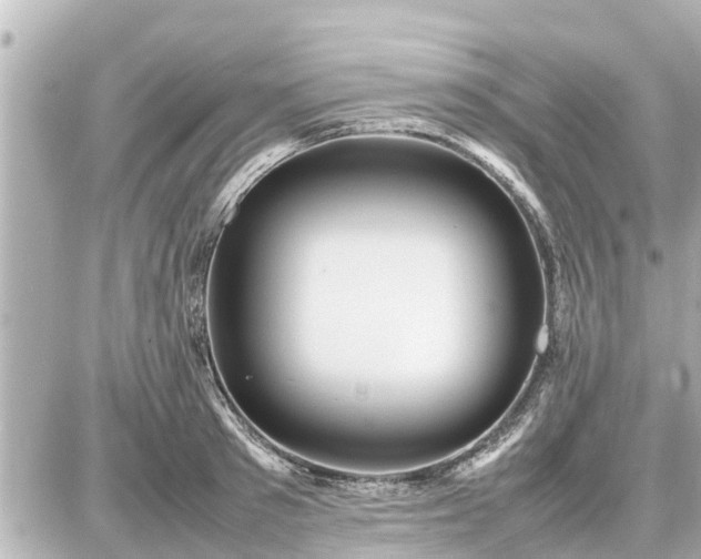 X0000087050897200704251001