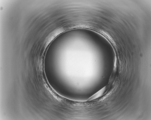 X0000087050898200704251001