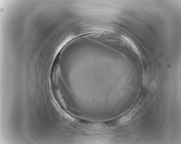 X0000087050899200704251001