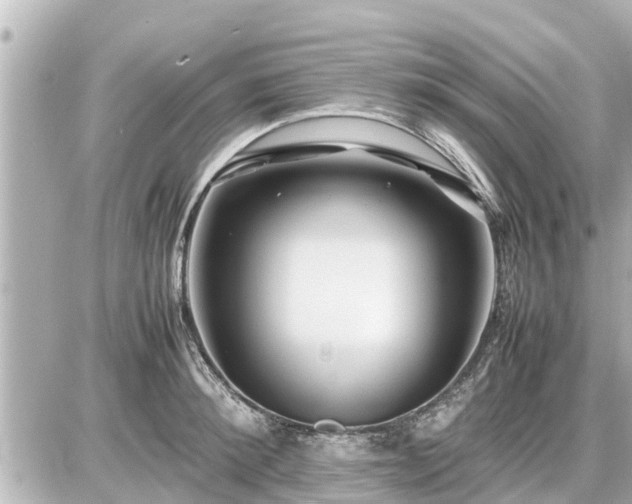 X0000087050900200704251001