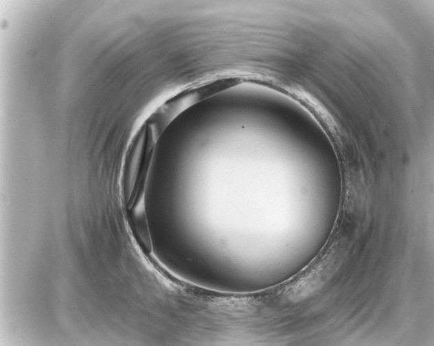 X0000087050902200704251001