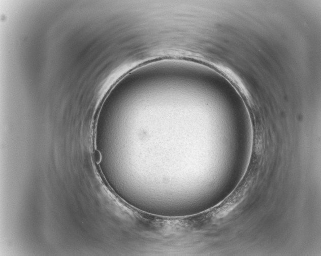 X0000087050903200704251001