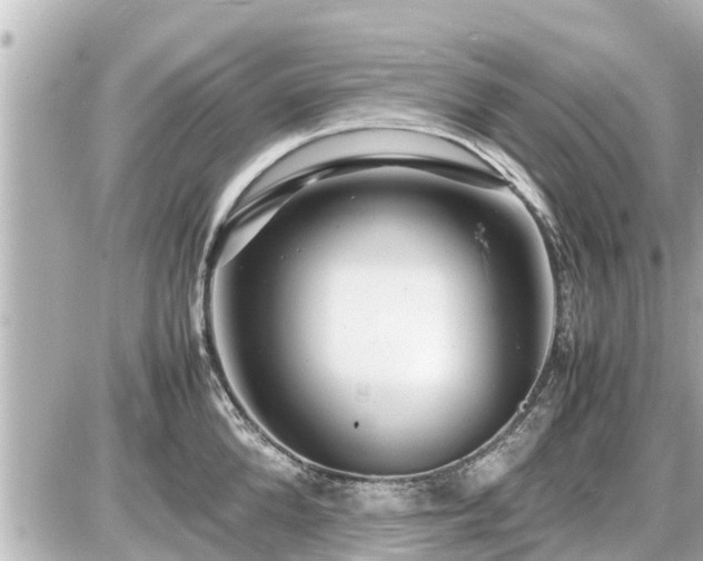 X0000087050904200704251001