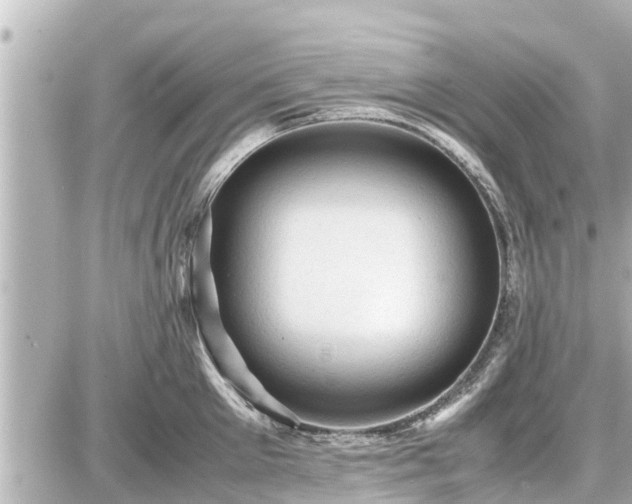 X0000087050905200704251001