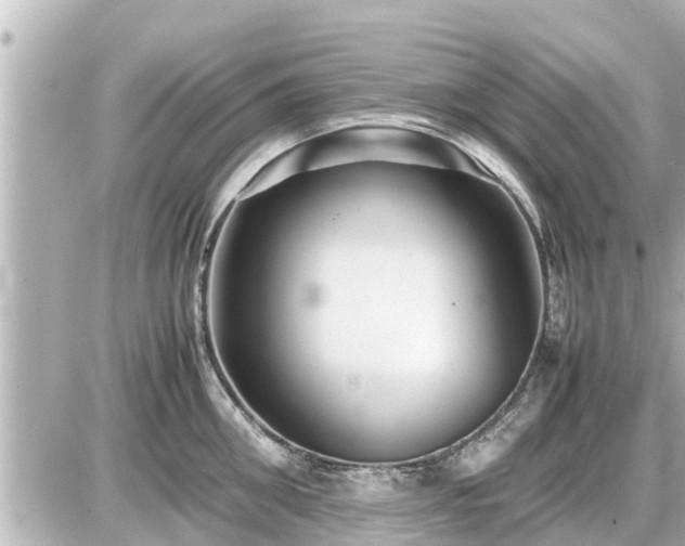 X0000087050906200704251001