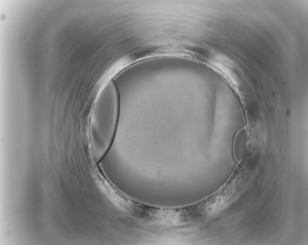 X0000087050907200704251001