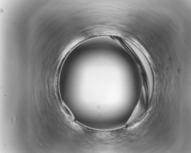 X0000087050909200704251001