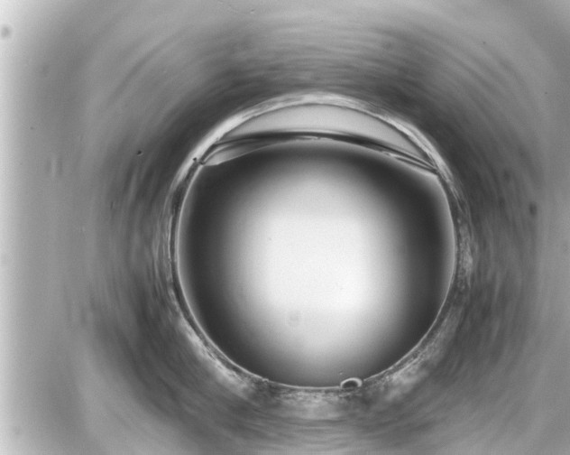 X0000087050910200704251001