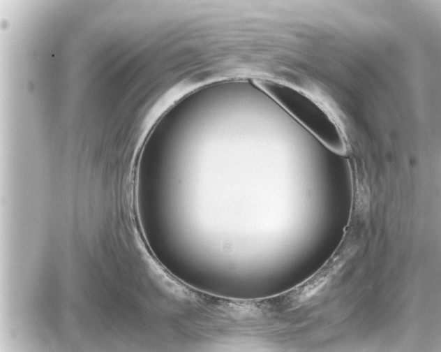 X0000087050911200704251001