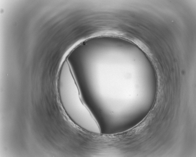 X0000087050912200704251001