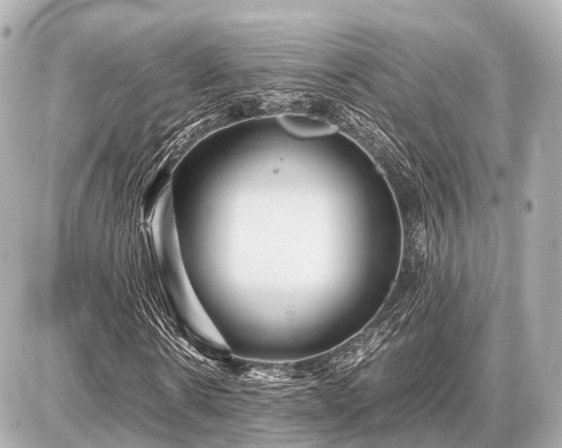 X0000087050914200704251000