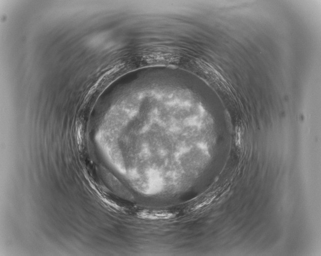 X0000087050915200704251000