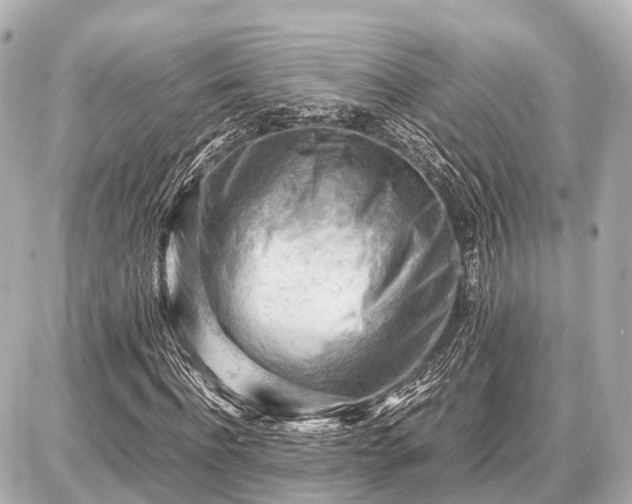 X0000087050916200704251000