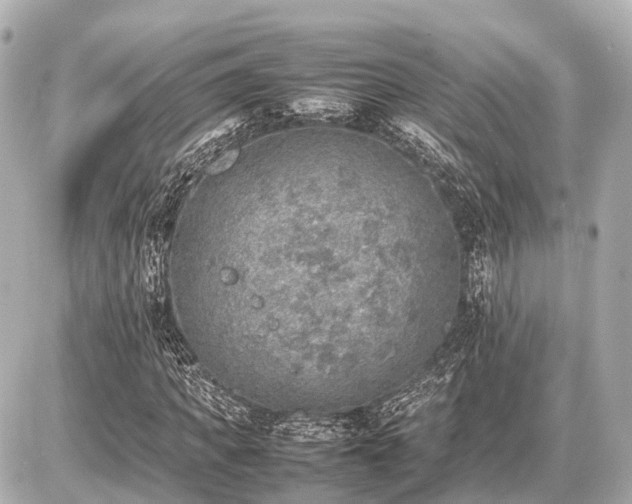 X0000087050917200704251000