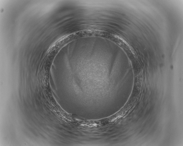 X0000087050919200704251000