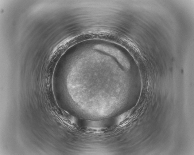 X0000087050920200704251000