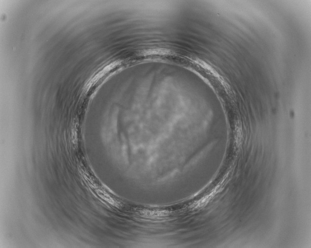 X0000087050921200704251000