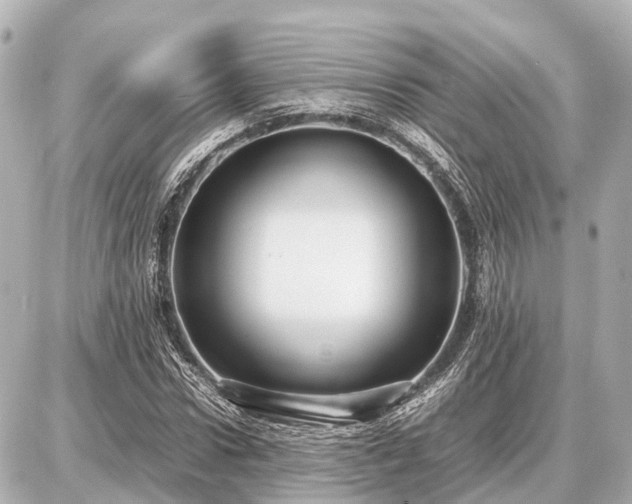 X0000087050922200704251000