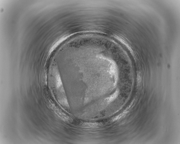 X0000087050925200704251000