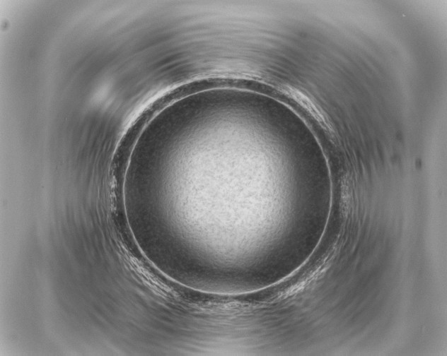 X0000087050926200704251000