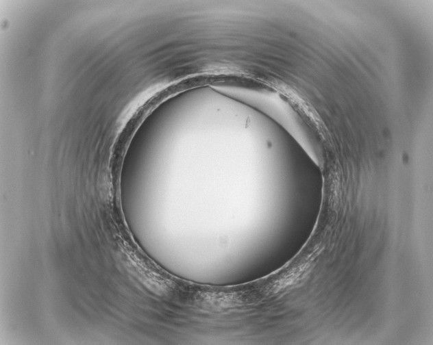 X0000087050927200704251000