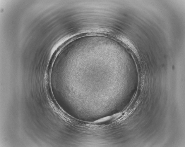 X0000087050928200704251000