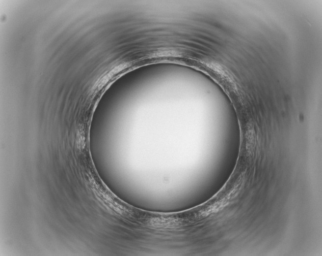 X0000087050929200704251000