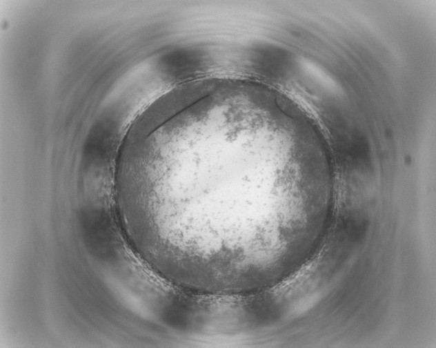 X0000087050930200704251000