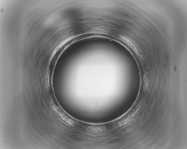 X0000087050931200704251000