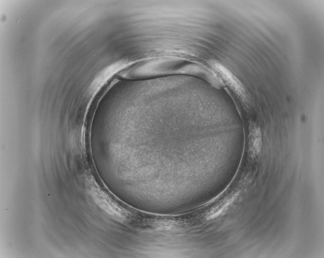 X0000087050932200704251000