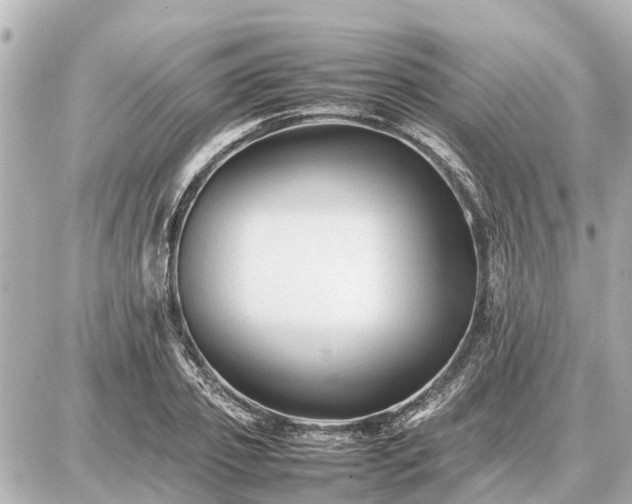 X0000087050933200704251000