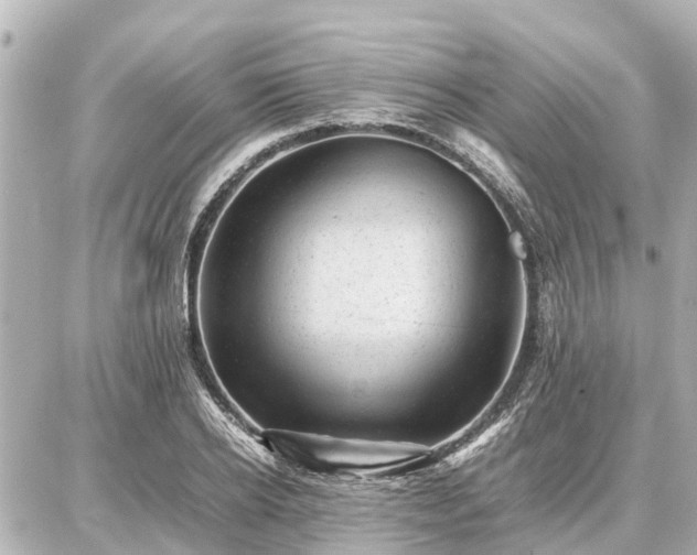 X0000087050934200704251000