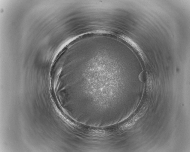 X0000087050935200704251000