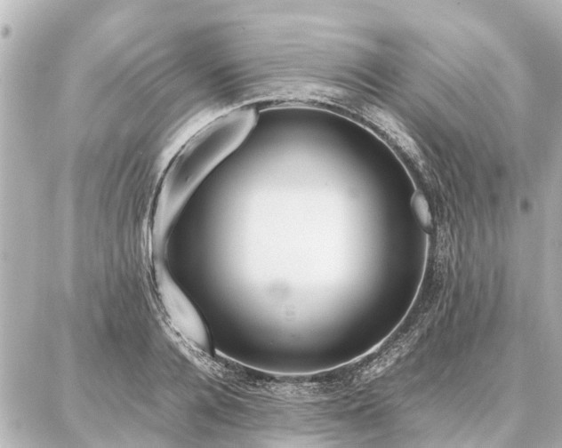 X0000087050936200704251000