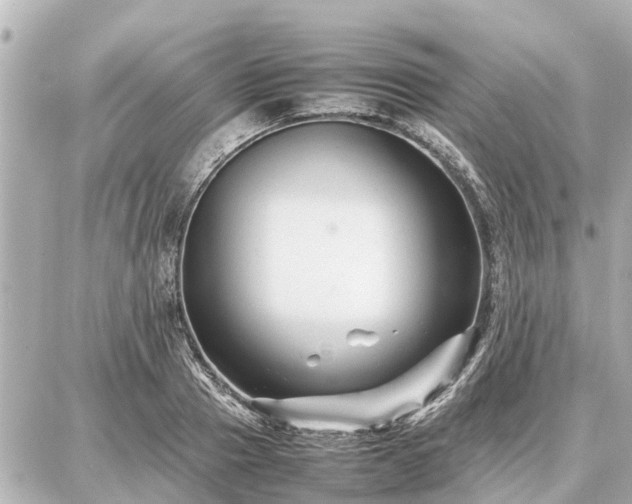 X0000087050937200704251000