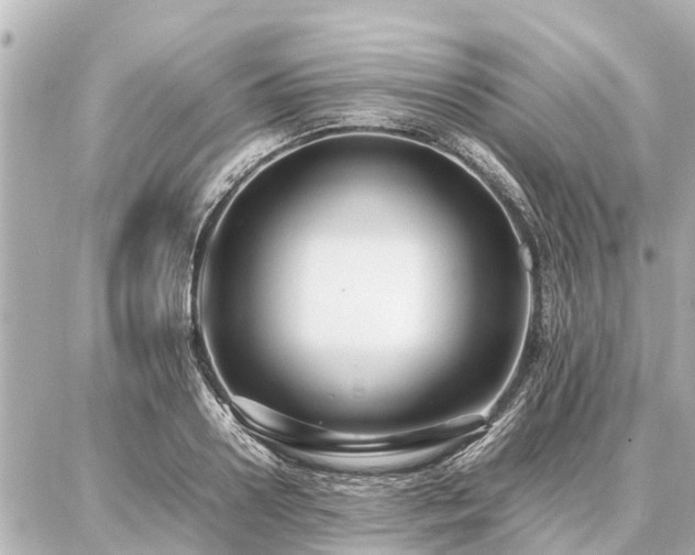 X0000087050938200704251000